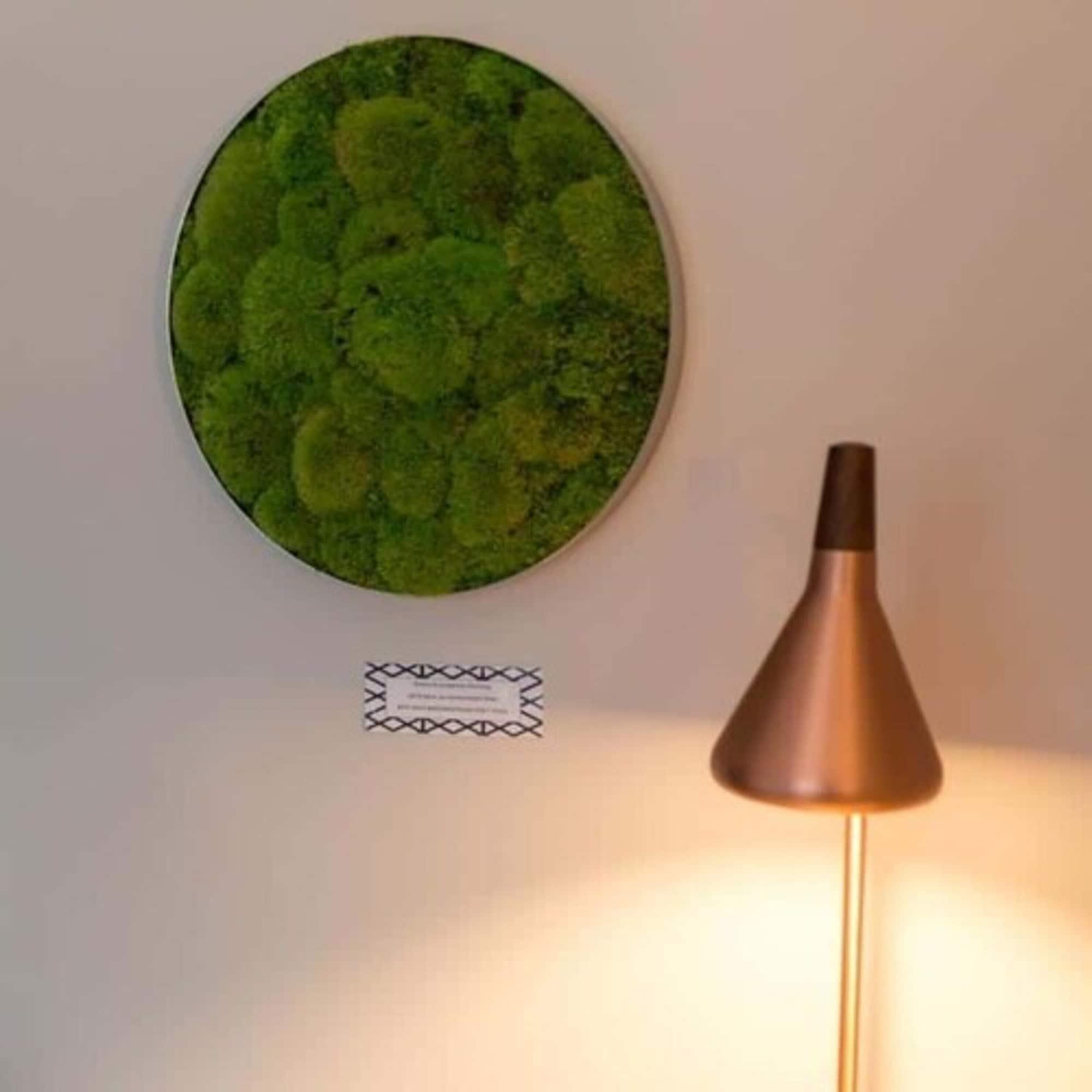 Rugs Hotel Koeln Екстер'єр фото